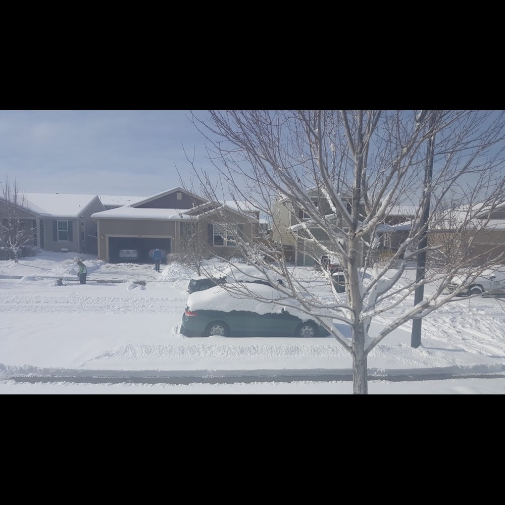 Meet your Posher, Doha